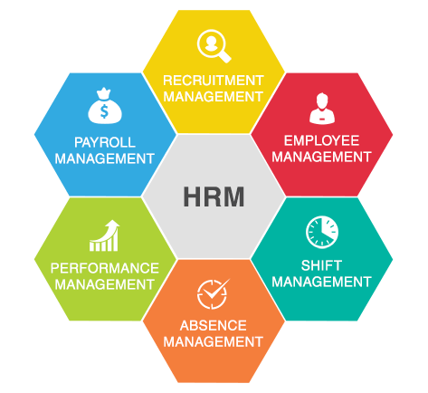Best Hr software